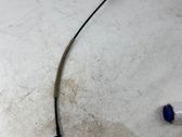 Línea de cable puerta delantera