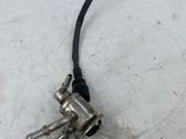 AdBlue injector
