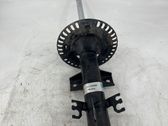 Front shock absorber/damper