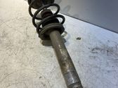 Front shock absorber/damper