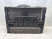 Electric radiator cooling fan