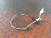 Radio antenna