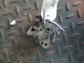 Tie down hook / loop