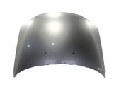 Motorhaube