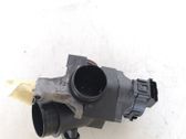 Throttle body valve