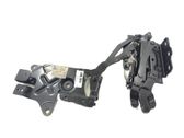 Tailgate/trunk/boot hinge