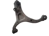 Front lower control arm/wishbone