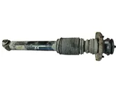 Rear shock absorber/damper