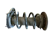 Front shock absorber with coil spring