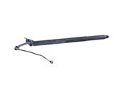 Tailgate/trunk strut/damper