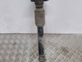 Rear shock absorber with coil spring