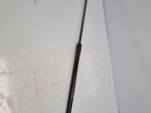 Front bonnet/hood damper/strut