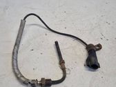 Capteur de température des gaz d'échappement
