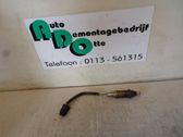 Lambdasonde Regelsonde
