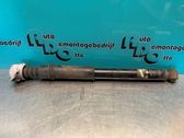 Rear shock absorber/damper