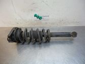 Stoßdämpfer mit Federbein hinten