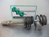 Front shock absorber with coil spring