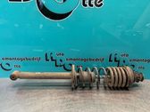 Rear shock absorber with coil spring