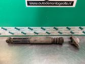 Stoßdämpfer hinten