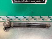Stoßdämpfer hinten