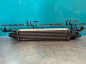 Intercooler radiator