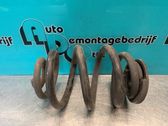 Rear coil spring