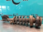 Front shock absorber with coil spring