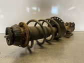 Front shock absorber with coil spring