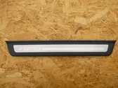 Front sill trim cover