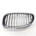 Front bumper lower grill