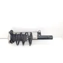 Front shock absorber/damper