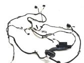 Other wiring loom