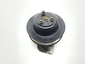 Water pump pulley