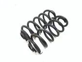 Rear coil spring