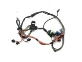 Other wiring loom