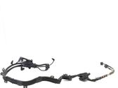 Other wiring loom