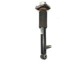 Rear shock absorber/damper