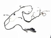 Front door wiring loom