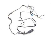 Rear door wiring loom