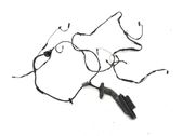 Rear door wiring loom