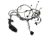 Front door wiring loom