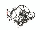 Engine installation wiring loom