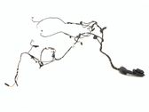 Front door wiring loom