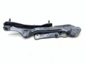 Tailgate/trunk/boot hinge