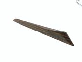 Front door trim (molding)