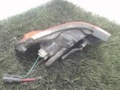 Front fender indicator light