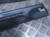 Rear door trim (molding)