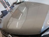 Engine bonnet/hood