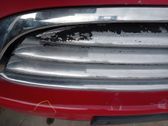 Front grill