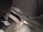 Gaspedal